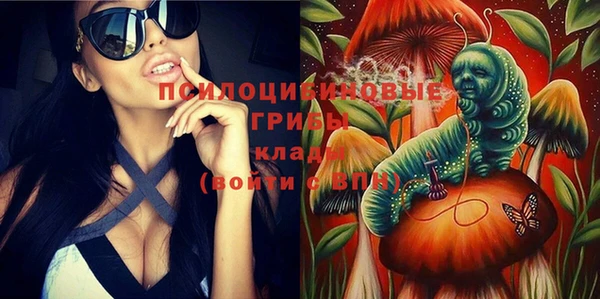 прущие крисы Аркадак