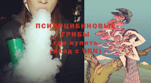 прущие крисы Аркадак