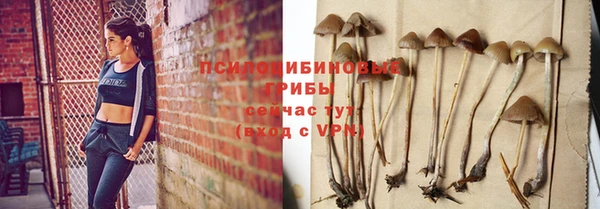 прущие крисы Аркадак