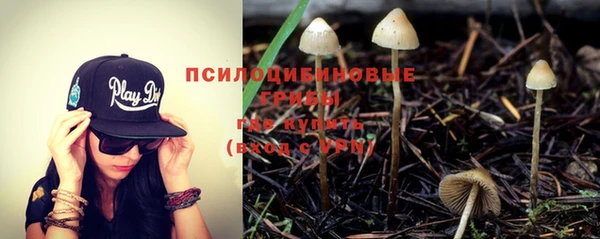 прущие крисы Аркадак